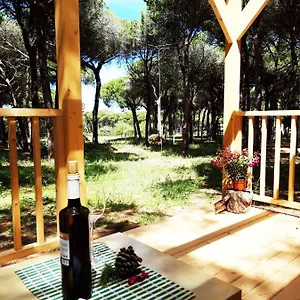 The Pineforest Chiclana de la Frontera